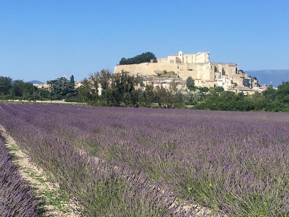 Le Mas Du Pigeonnier Réauville Dış mekan fotoğraf
