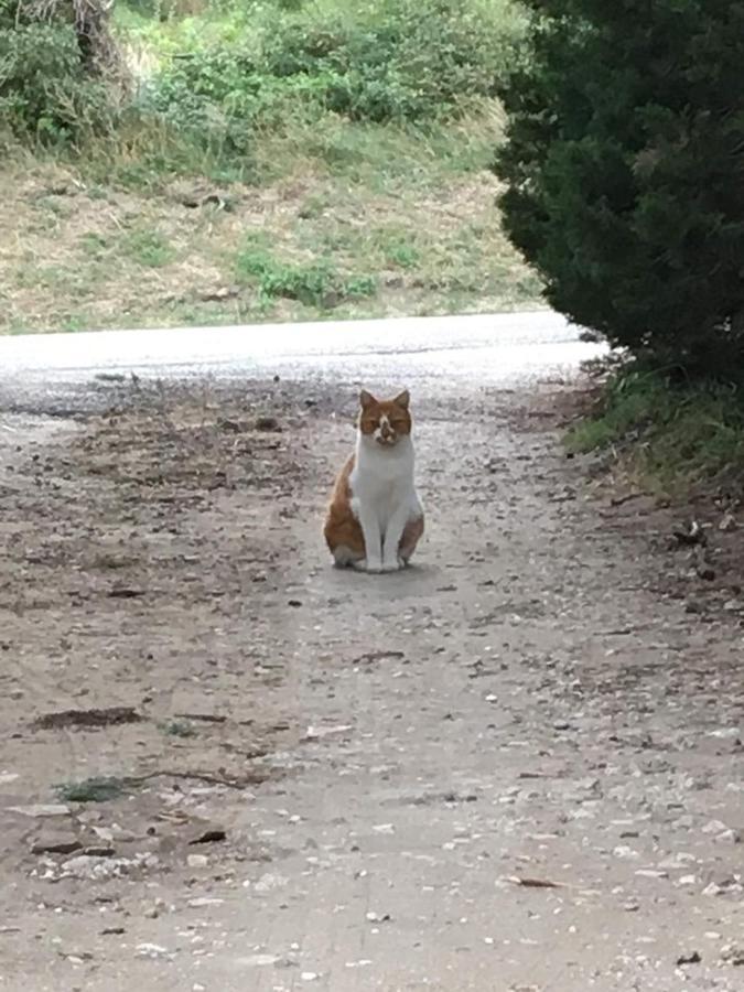 Le Mas Du Pigeonnier Réauville Dış mekan fotoğraf