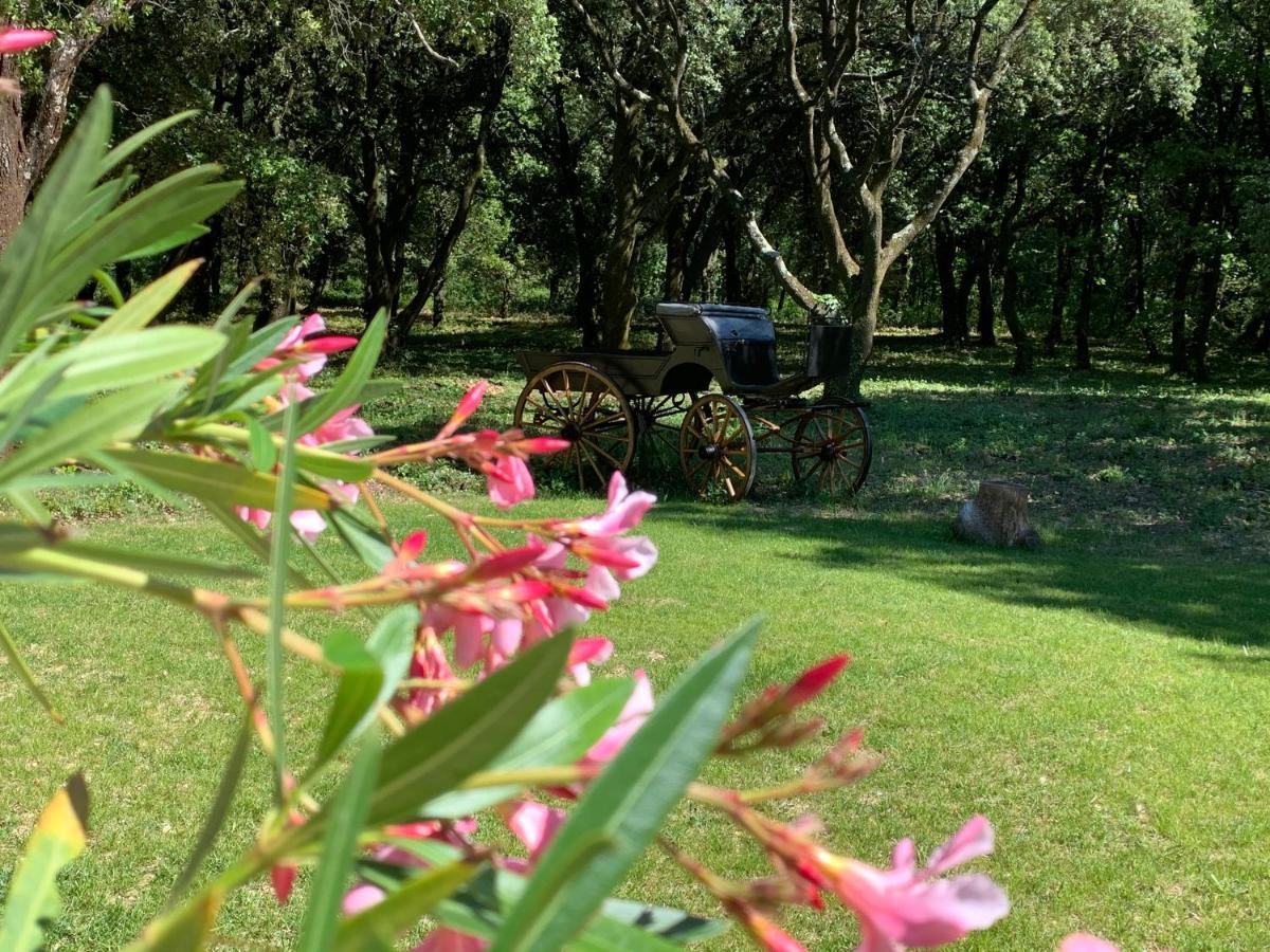 Le Mas Du Pigeonnier Réauville Dış mekan fotoğraf